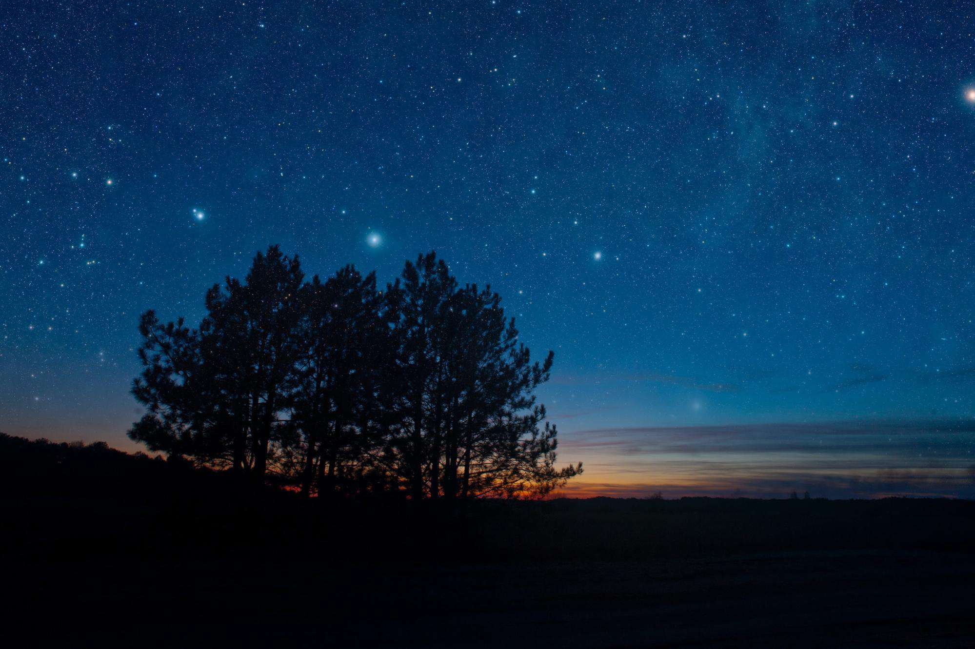 steady image using a dslr mount